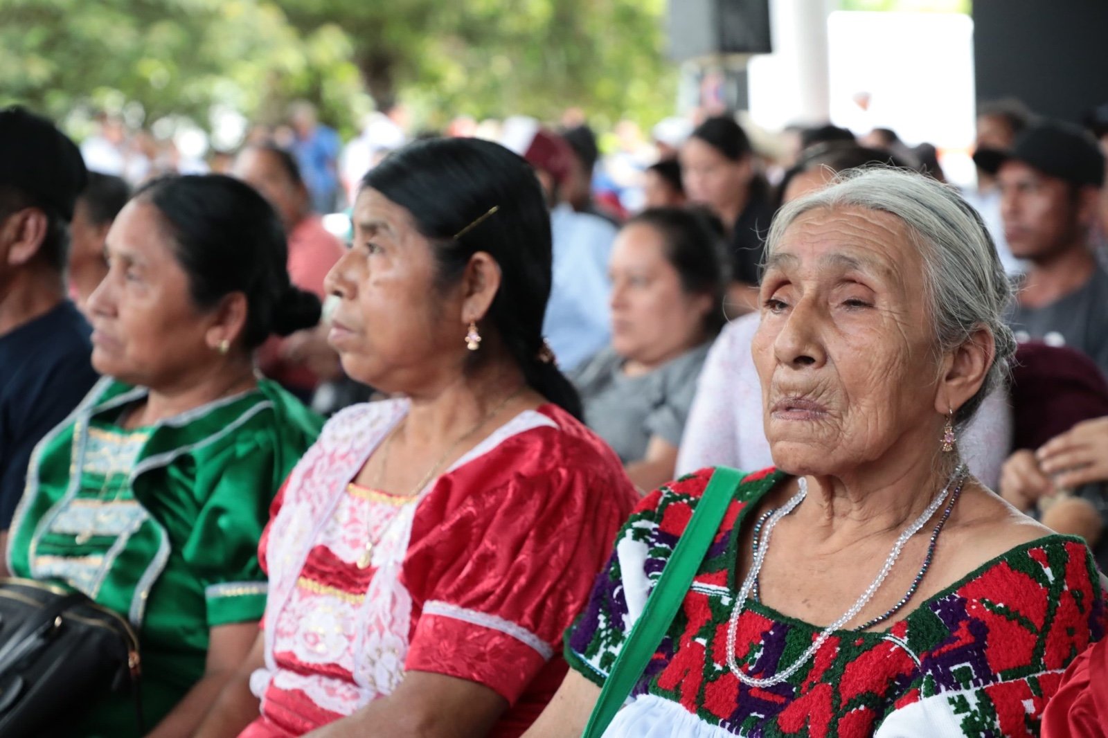 Veracruz, estado con mayor población de lenguas maternas