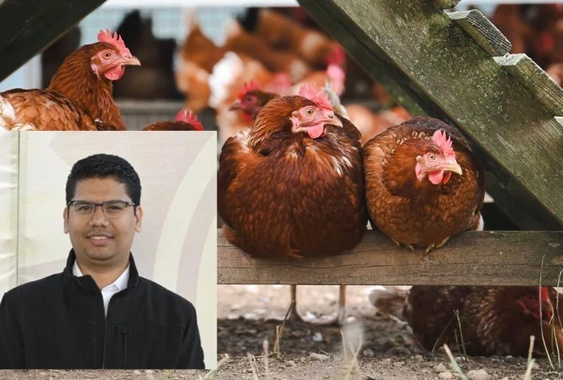 Granja avícola en Actopan cuenta con permisos y apoyo de pobladores