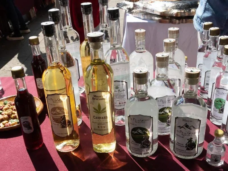 Mezcal Fest 2026 de CDMX: fechas, ubicación y actividades