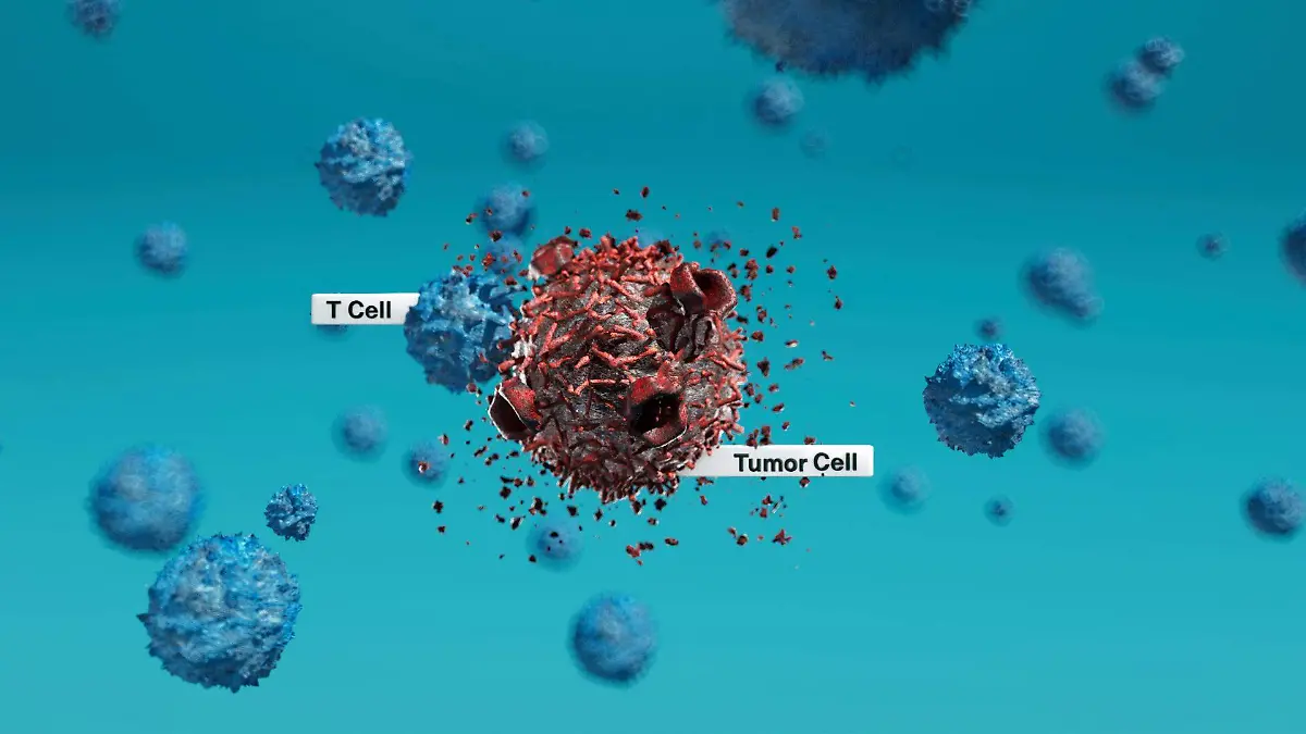 Avanzan pruebas de vacuna contra el cáncer de mama más agresivo