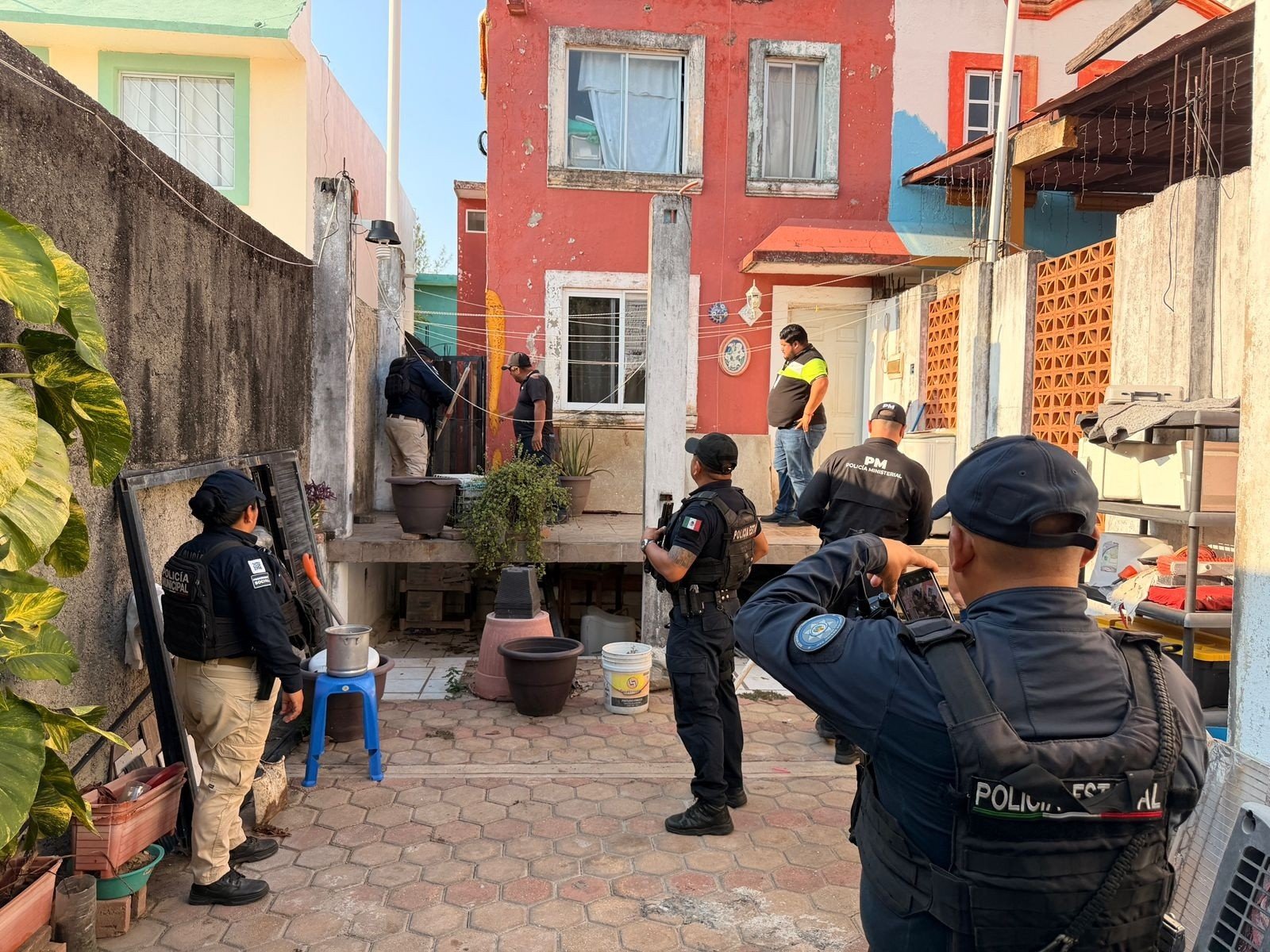 Rescatan a ocho perros en situación de maltrato tras cateo en Punta del Mar