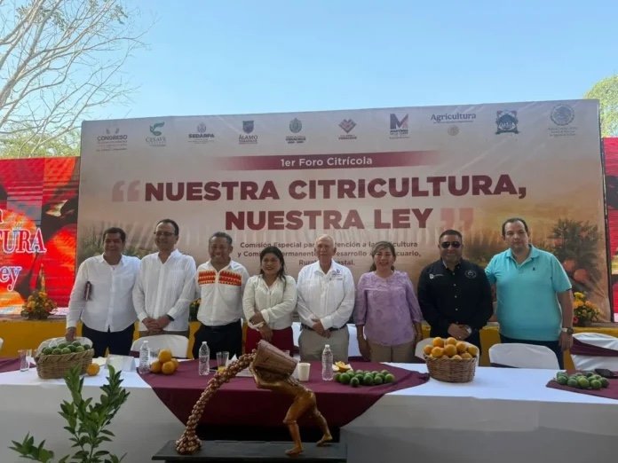 En Álamo, inician foros para nueva Ley de Citricultura – La Jornada Veracruz