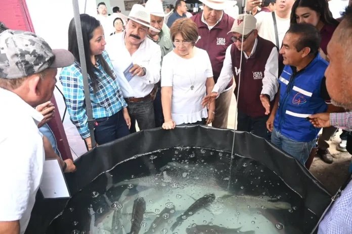 Acercan insumos y capacitación a productores en Feria Agronómica en Veracruz