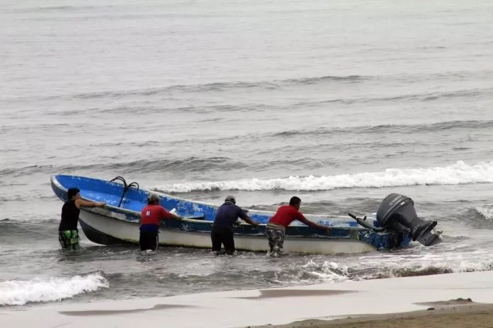 Pescadores recibirán hasta 12 mil pesos con Bienpesca en Veracruz
