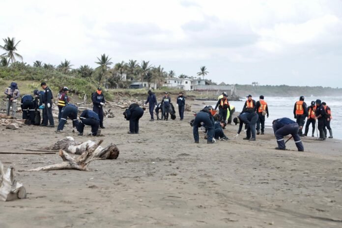 Playas de Alvarado en buen estado; llaman a evitar desinformación