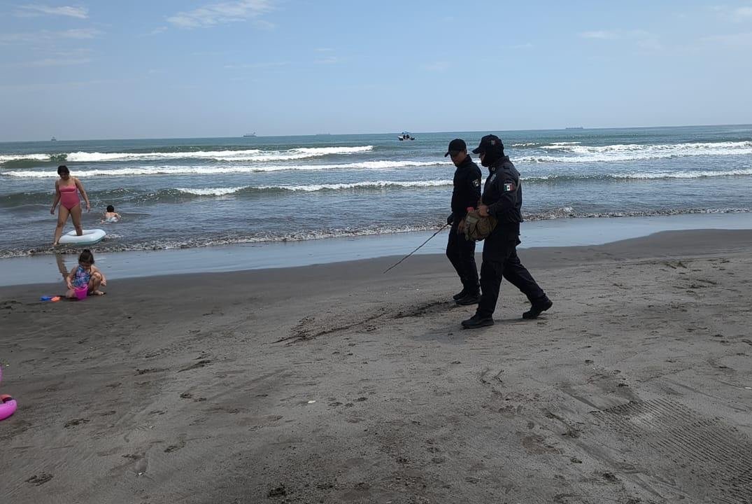 Continúan trabajos de limpieza en playas de Boca del Río