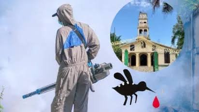 Alcalde de Coatepec atiende plaga de moscas en Bella Esperanza