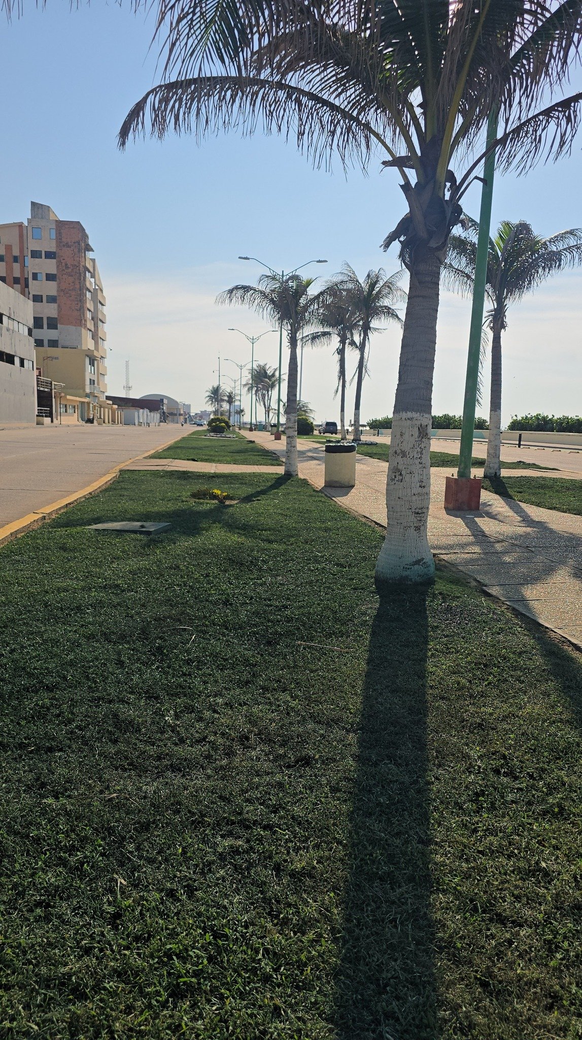 Pintado de césped en el malecón desata críticas; especialistas respaldan su uso como técnica funcional