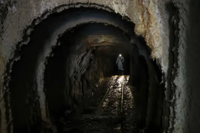 Entran en una cueva de Nueva Zelanda y descubren que es un portal a una época desconocida del pasado: en su interior hay fósiles de 16 especies de hace un millón de años