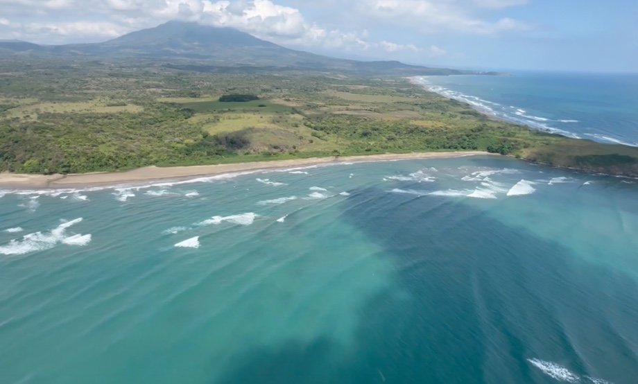 Arrecifes del Golfo sin daño severo por hidrocarburos, afirma Semarnat