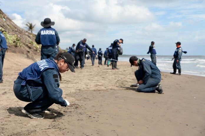 Con 3,000 elementos, refuerzan labores de saneamiento en costas de Tabasco, Veracruz y Tamaulipas