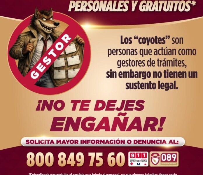 Licencias sin intermediarios: SSP llama a proteger tu trámite y tu dinero