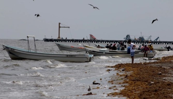 Inician la entrega de apoyos a pescadores afectados por derrame en Golfo de México