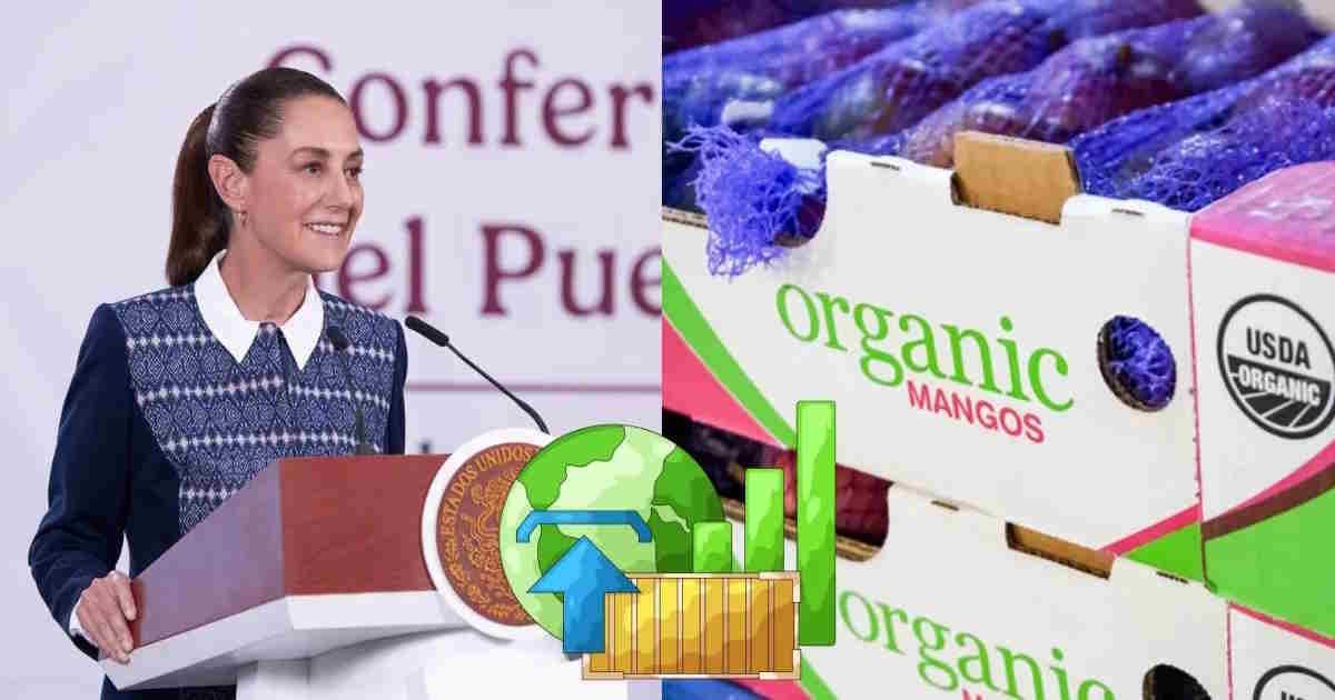 Sheinbaum mantiene a México en top 10 de exportadores mundiales