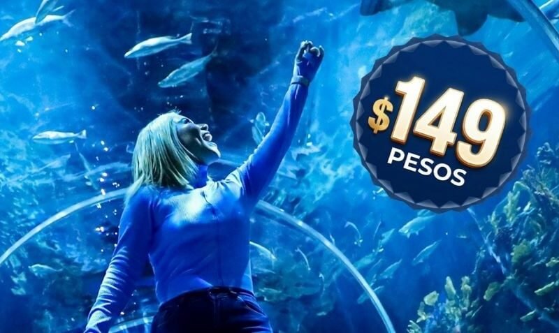 Acuario de la CDMX rebaja sus boletos por temporada vacacional a solo 149 pesos