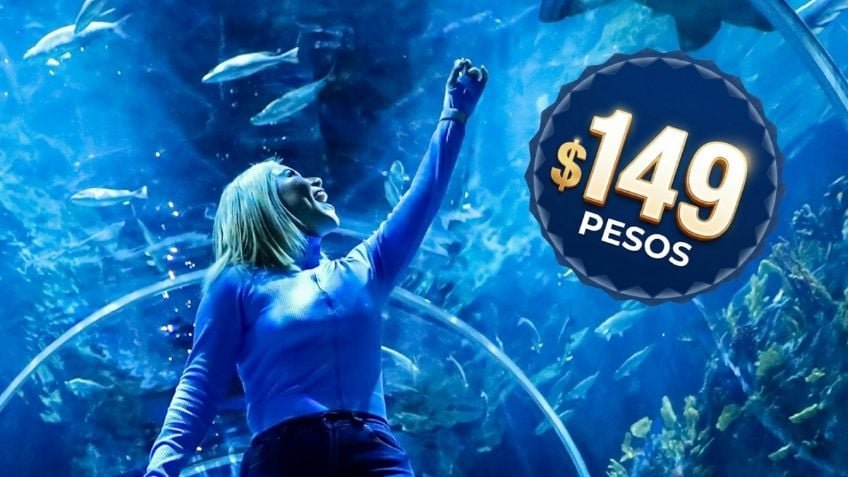 Acuario de la CDMX rebaja sus boletos por temporada vacacional a solo 149 pesos