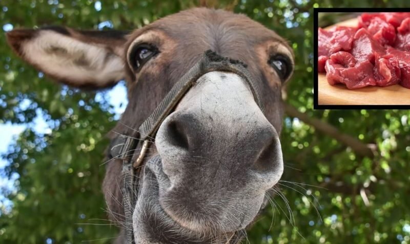 ¿Están vendiendo carne de burro en Argentina? Esto se sabe
