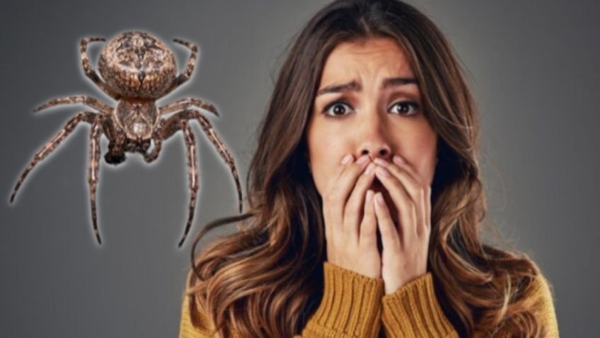 Pensó que tenía una infección, pero un VIDEO reveló que tenía una ARAÑA viviendo al interior de su oído