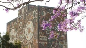 UNAM realizará evaluación de salud mental a estudiantes en sus jornadas de medicina preventiva