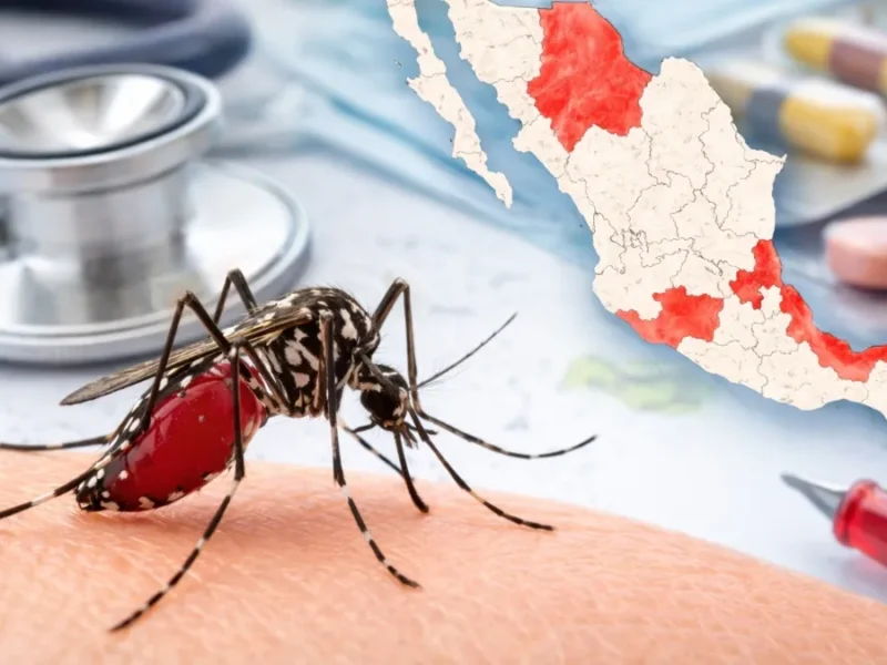 Veracruz, entre cinco estados con más dengue en México