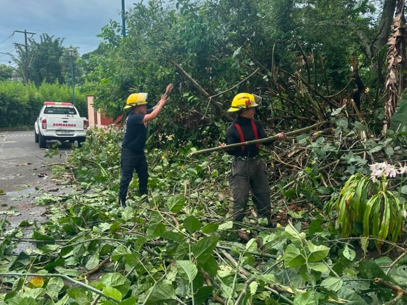 Atiende PC de Coatepec daños por intensas lluvias