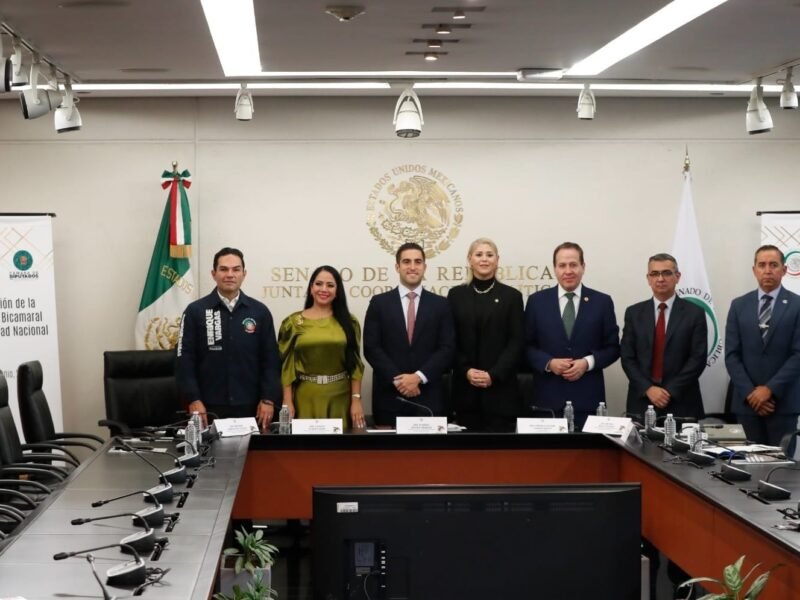 Instalan la Comisión Bicamaral de Seguridad Nacional
