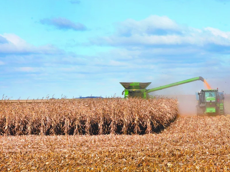 México batirá récord de importaciones de maíz en 2026 y 2027: USDA