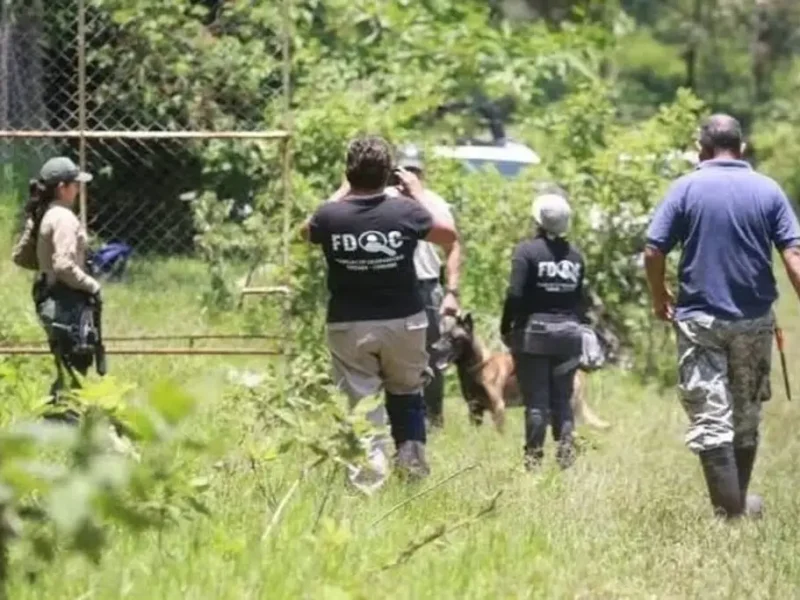 Colectivos aplazan búsquedas de desaparecidos por este motivo en Veracruz