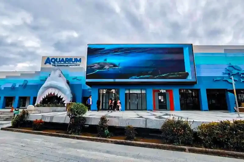 Gobernadora decreta descuento en el Aquarium, para que más veracruzanos lo visiten