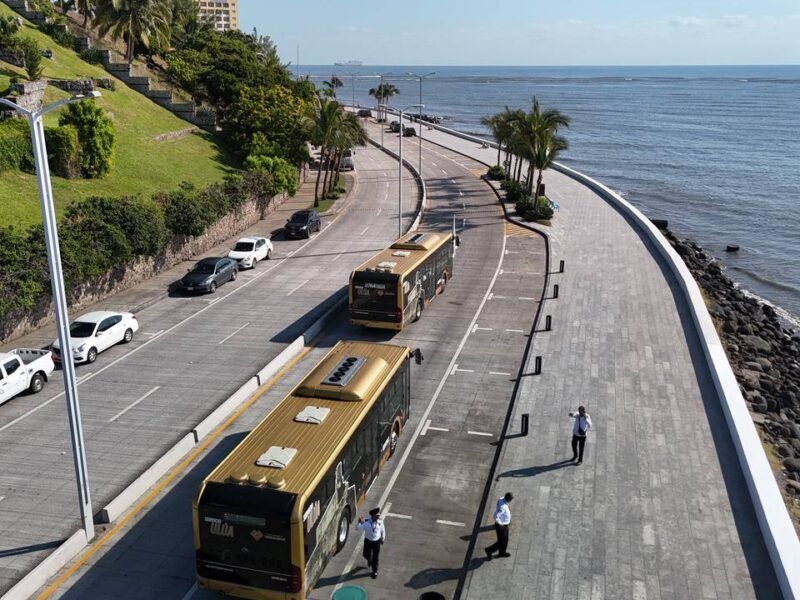 La modernización del transporte público en Veracruz