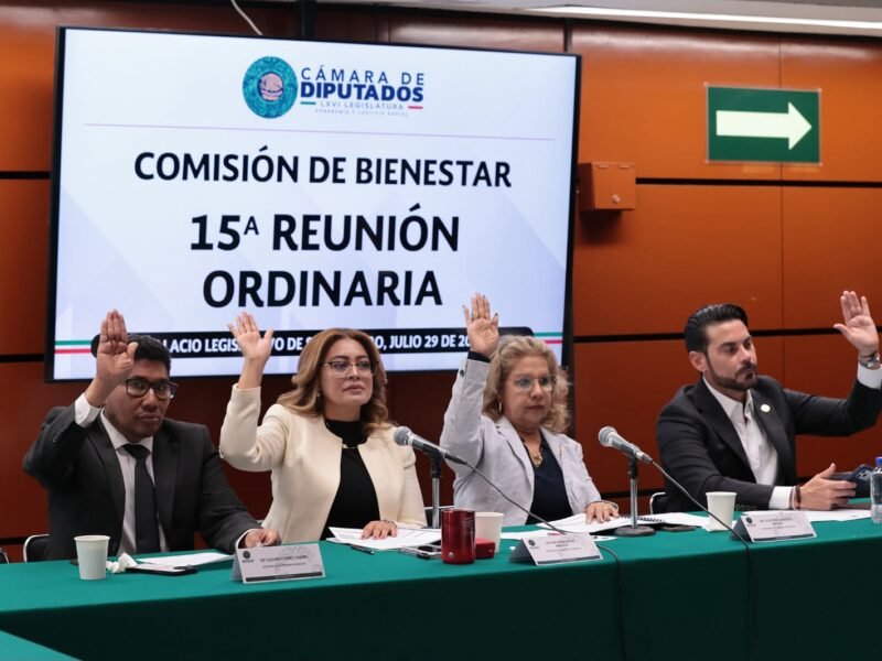 Comisión de Bienestar aprobó dictámenes en sentido negativo sobre canasta básica y programas sociales para personas con TEA