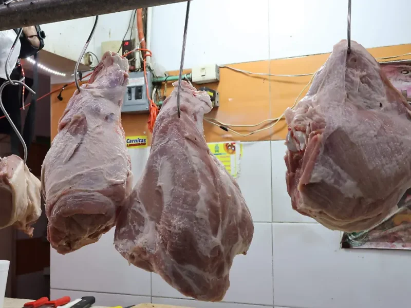 Precio del cerdo cayó 30% en Veracruz; carniceros prefieren carne local pese a importaciones baratas