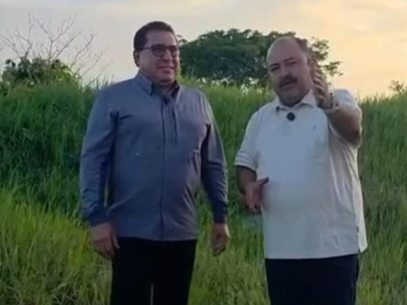 Transporte digno y trabajo: El impacto de las unidades “Papaloapan” y “Totonaca” en Veracruz