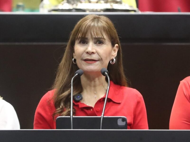 Iniciativa propone prohibir la posesión y reproducción de fauna silvestre como mascotas para su comercialización