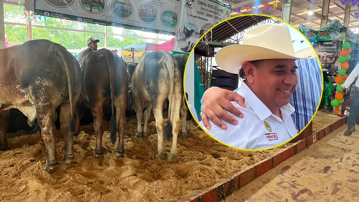 Leche para el Bienestar busca comprar 45 millones de litros a productores de Veracruz en 2026