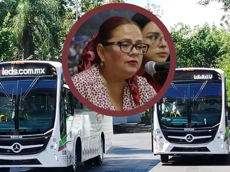 Daniela Griego confirma arranque del transporte “Atenas” en Xalapa, anunciado por Rocío Nahle