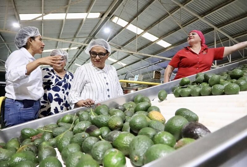 Secretaria de Gobernación visita zona aguacatera de Michoacán tras operativos y bloqueos