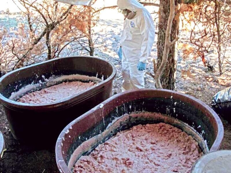 Cárteles mexicanos se instalan en África; envían a químicos a montar laboratorios