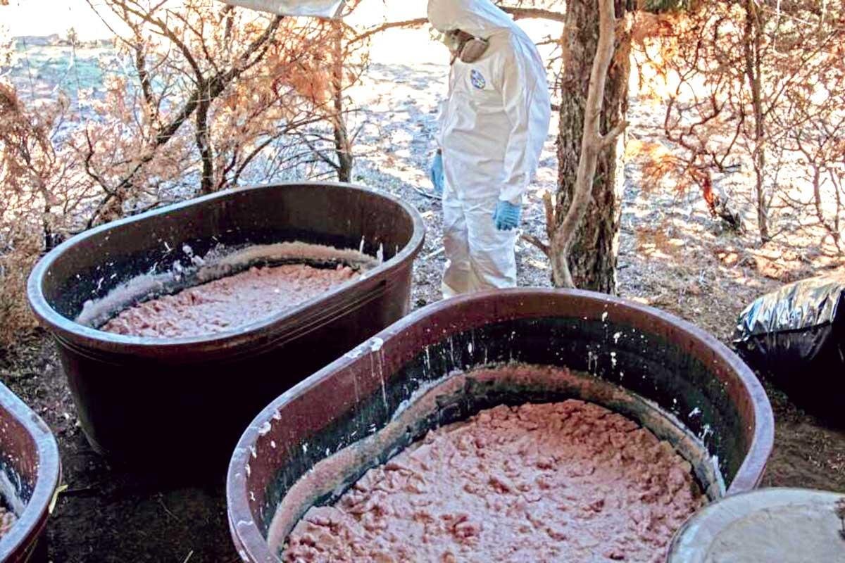 Cárteles mexicanos se instalan en África; envían a químicos a montar laboratorios