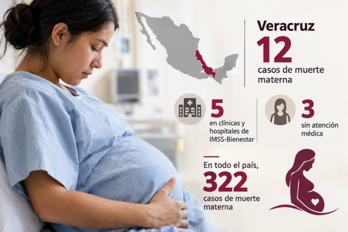 Concentra Veracruz 12 casos de muerte materna en el año