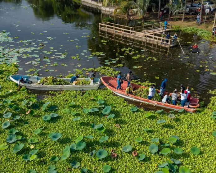 Inicia SEDEMA jornadas de limpieza en la Laguna de San Julián