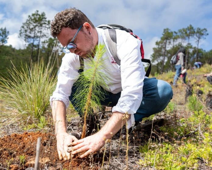 Planta Sedema mil árboles en San Juan del Monte