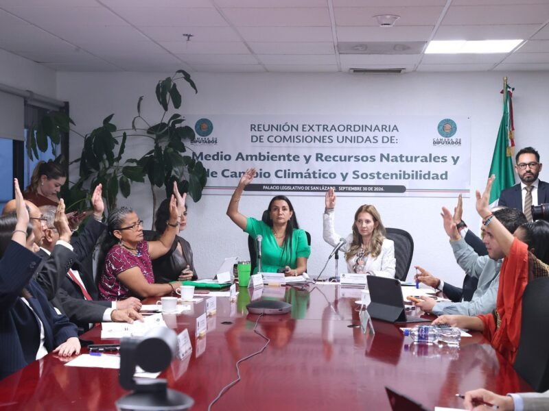 Avalan comisiones unidas mecanismo para la comparecencia de titular de la Semarnat, Alicia Bárcena Ibarra