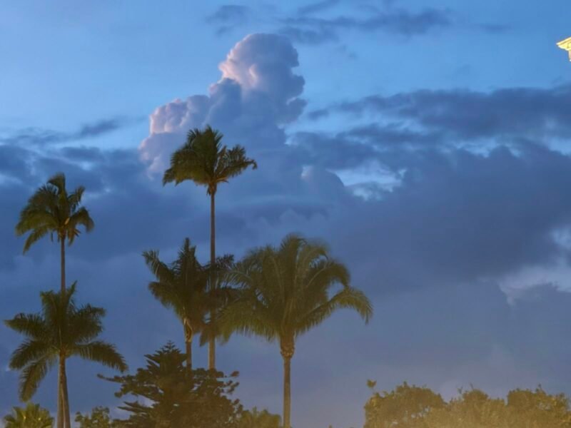 Veracruz tendrá más lluvias y tormentas este jueves; prevén rachas de viento