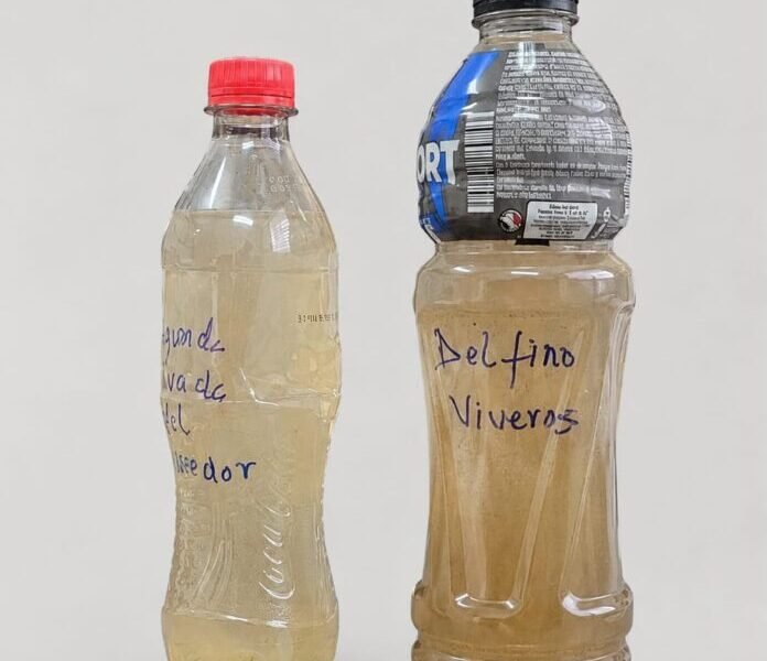 Alerta sanitaria en Banderilla por agua contaminada; vecinos detectan coliformes