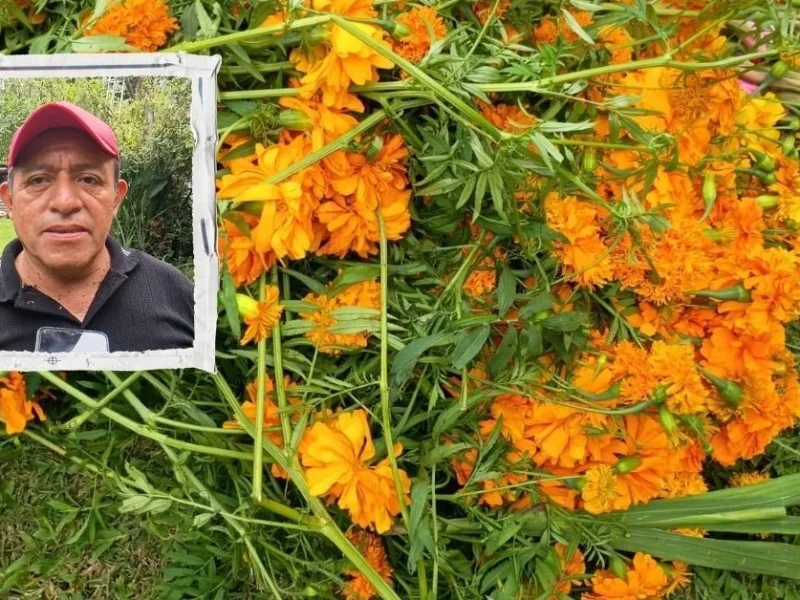 Campesinos veracruzanos se quejan por competencia foránea en comercialización de flor de cempasúchil