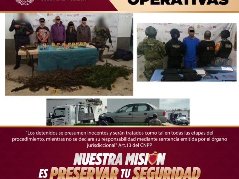 Detenidos 11 presuntos integrantes de células delictivas durante operativos coordinados