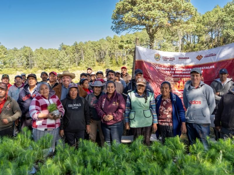 Reforesta Sedema 3.5 hectáreas en el ejido Las Vigas con 3 mil 500 árboles